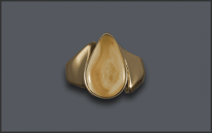 Women's Polished Gold Elk Ivory Ring